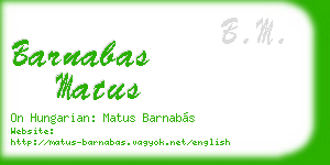 barnabas matus business card