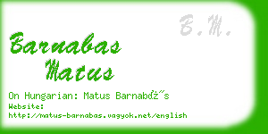 barnabas matus business card